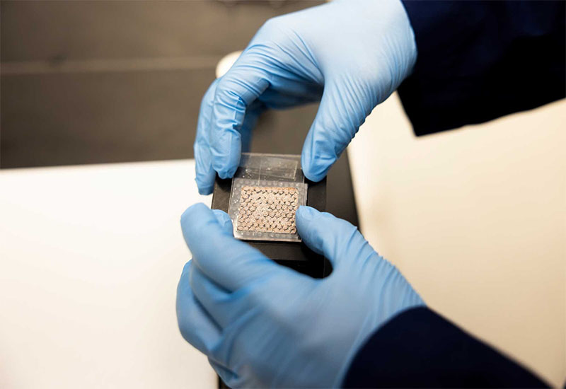 Gloved hands hold a screen over an array of circular magnets. The screen looks like a palm-sized, transparent square, with orange and white beads about the size of grains of sand arranged into a smaller square shape inside.