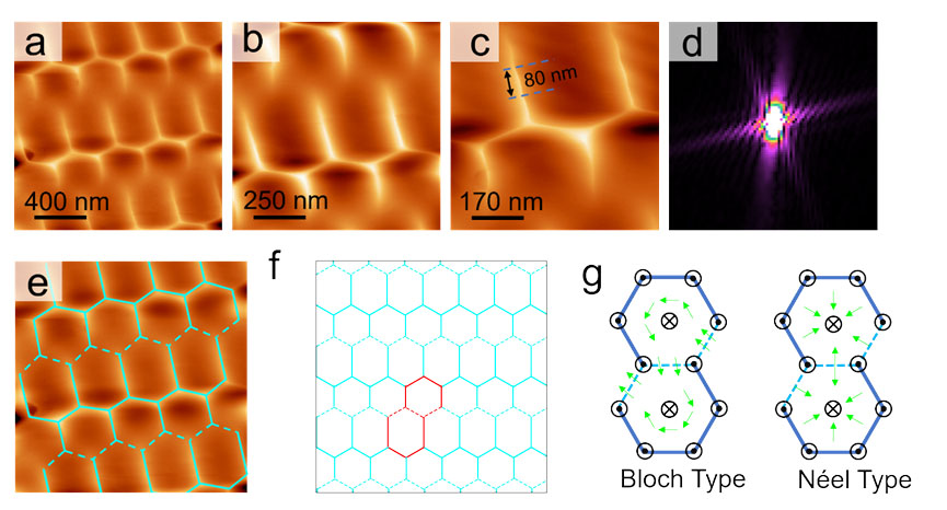 the first direct observation of intrinsic magnetic structures in a kagome lattice