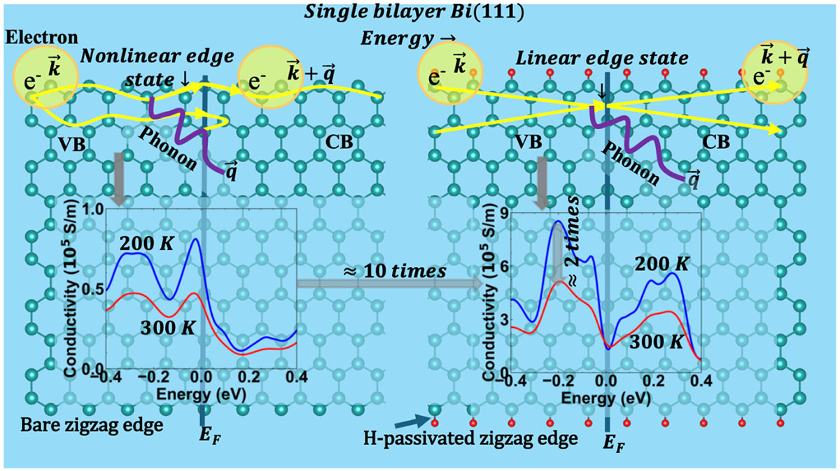 Electron-phonon interactions at linear and nonlinear electronic edge states, demonstrating impact on energy transport in these edge states