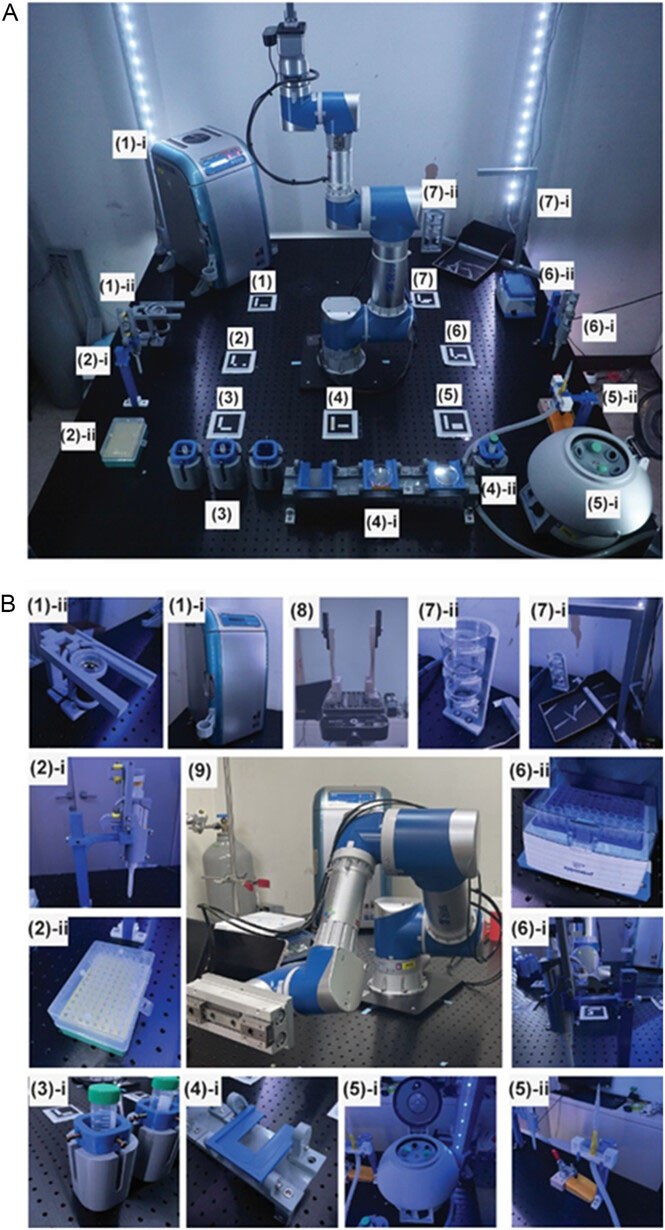 A robotic arm platform enabling cell culturing and gene transfection