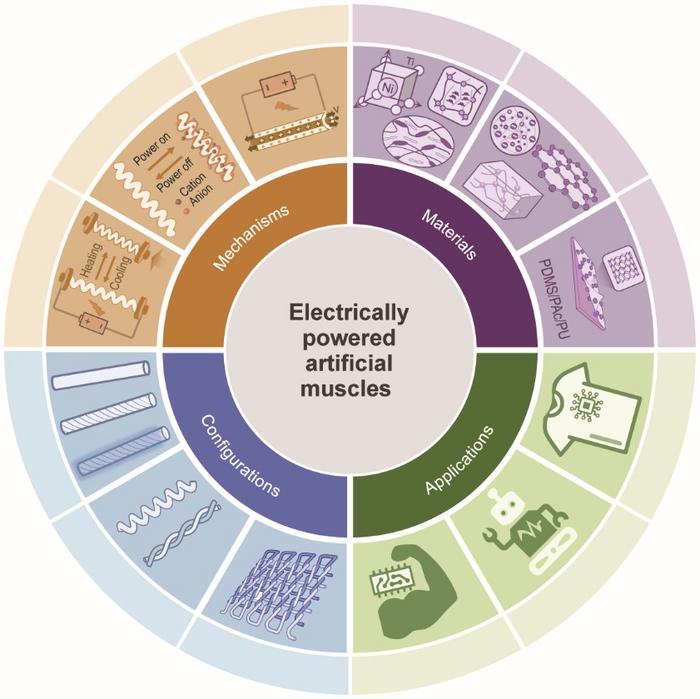 Schematic of electrically powered artificial muscle fibers categorized from the mechanism, material components, and configurations, as well as their application fields