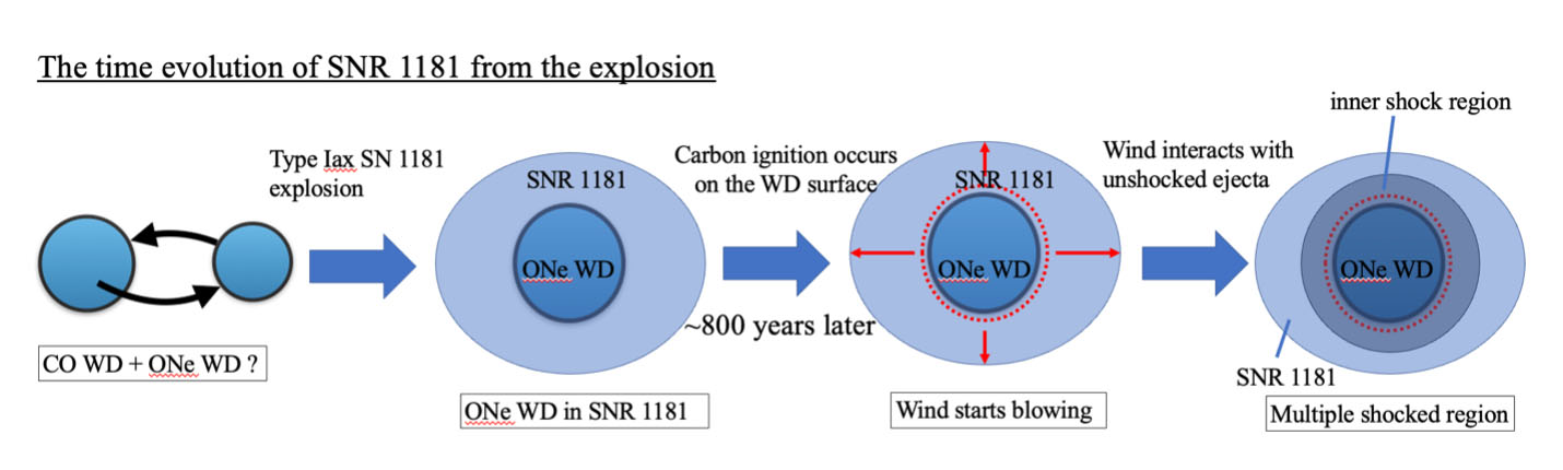 Illustration of the evolution of SNR 1181