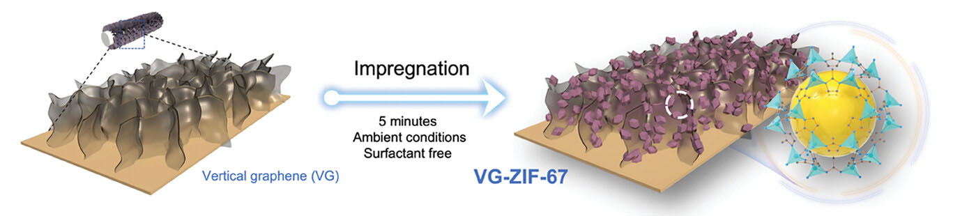 Representación esquemática de la producción de VG-ZIF-67 a partir de grafeno vertical mediante un proceso de impregnación de un solo paso.