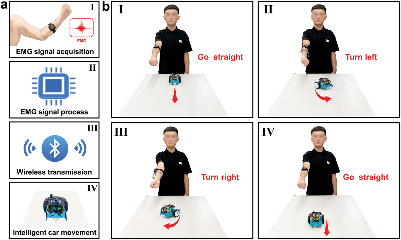 application of the intelligent wireless car movement control based on electromyogram (EMG) signals