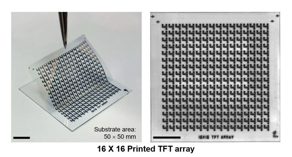 Photographs of flexible printed 16 x 16 thin-film transistor array