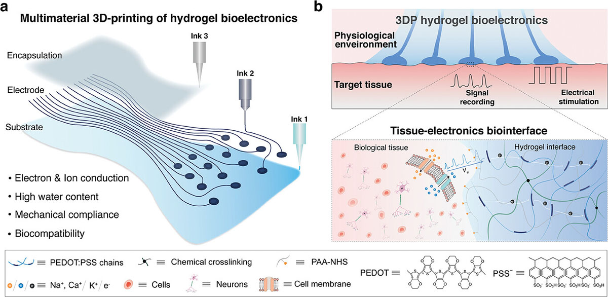 3D printed hydrogel electronics for biointerfacing