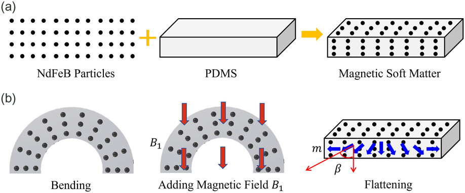 Fabrication of programmable soft material rotating joints