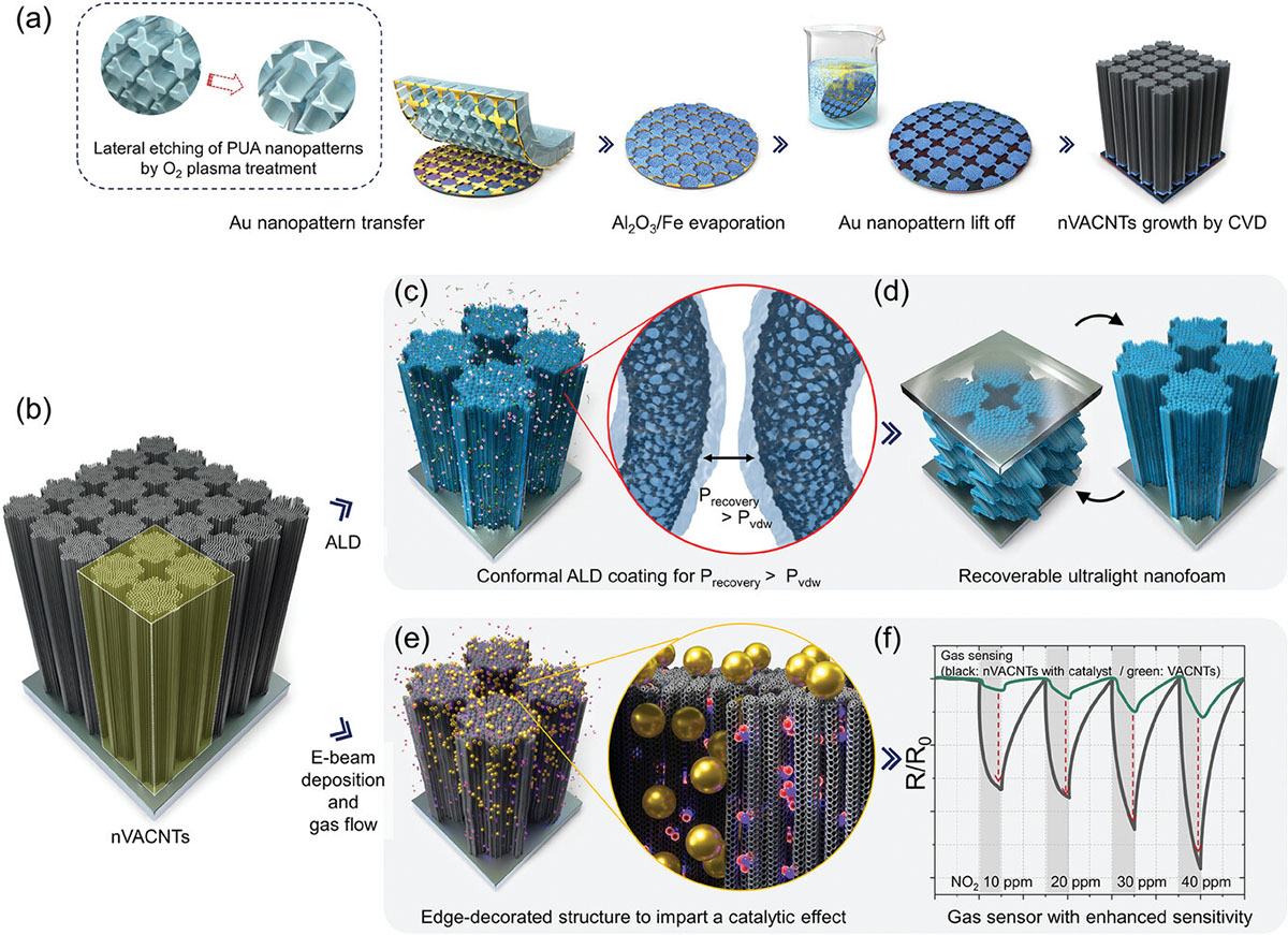 Schematic representation of the nanopatterned vertically aligned carbon nanotubes fabrication process and its applications