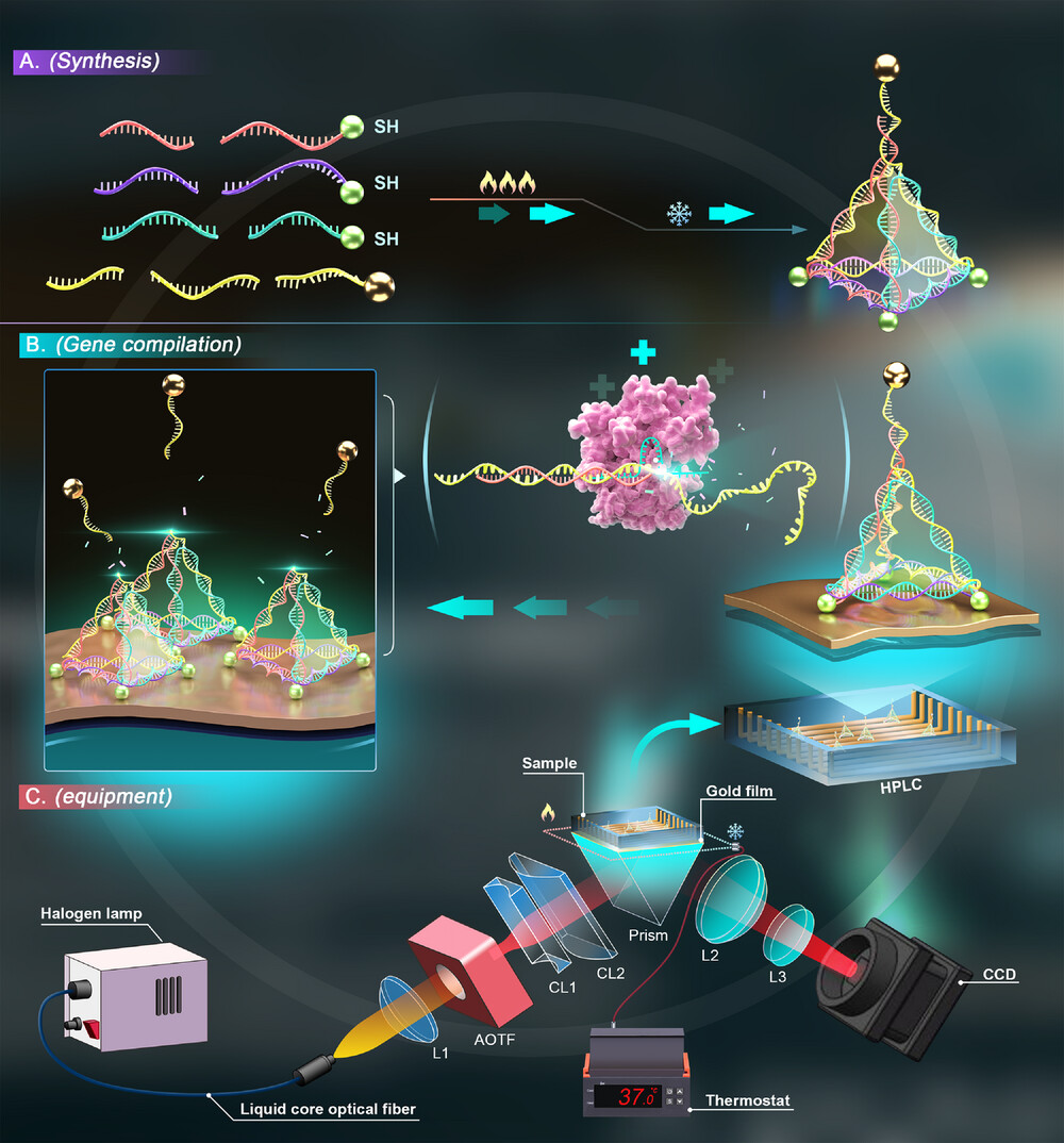 Surface plasmon resonance (SPR) biosensing design schematic integrating DNA origami and DNA scissors.