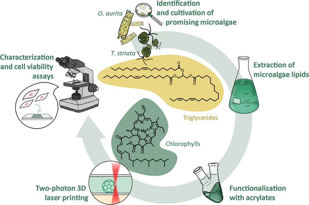 Microalgae-Based Materials for 3D Printing with Light