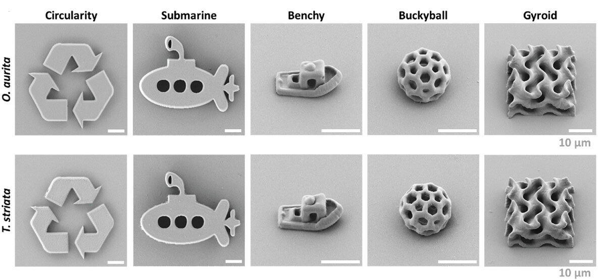 Microalgae-Based Materials for 3D Printing with Light