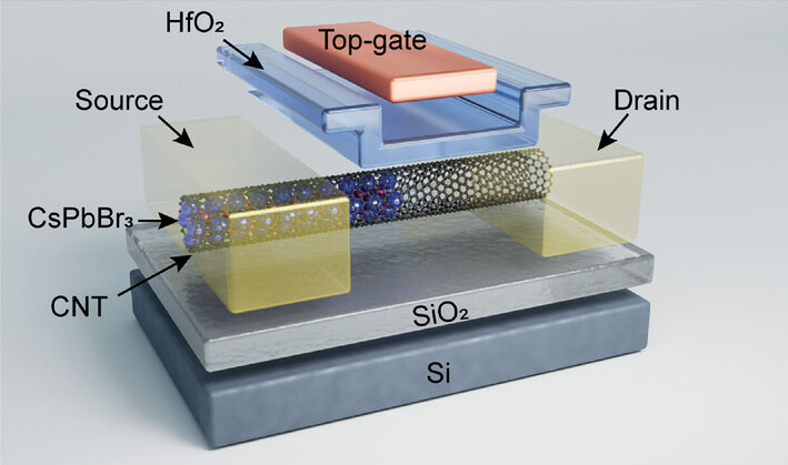 Schematic of the top-gate coaxial CsPbBr3/CNT FET