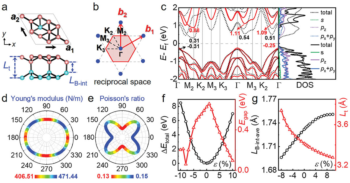 Structure and electronic properties of the borophene v1/12 bilayer