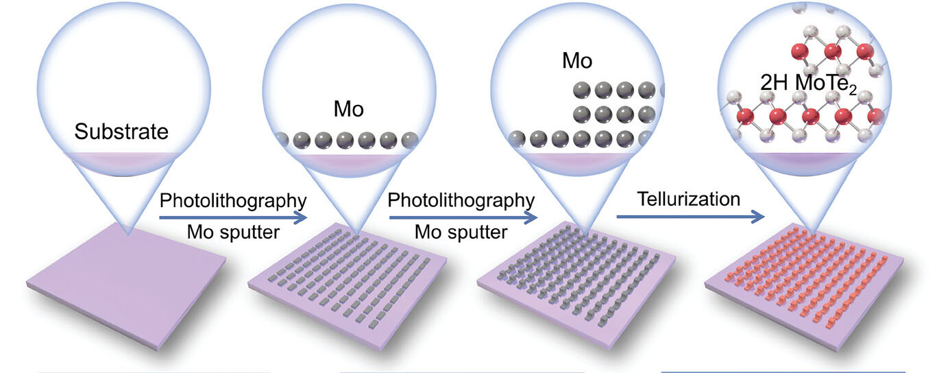 Schematic of the fabrication processes of patterned 2H-MoTe2 homojunction