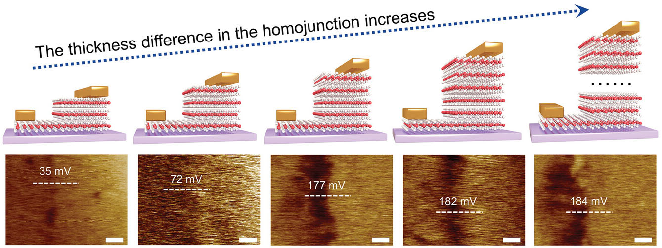 2H-MoTe2 homojunctions with thickness difference increasing