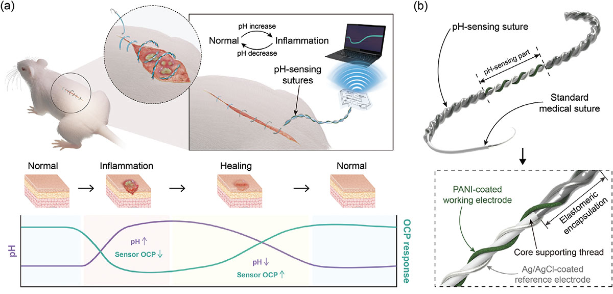 wound monitoring system based on a pH-sensing suture