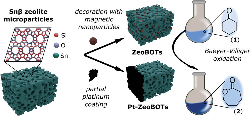 Design of microrobots by modifying Sn𝛽 zeolite microstructures toward the Baeyer–Villiger oxidation of cyclohexanone (1) to 𝜖-caprolactone (2)