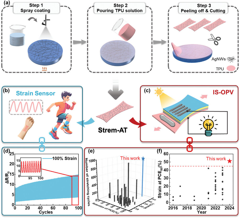 stretchable electrode