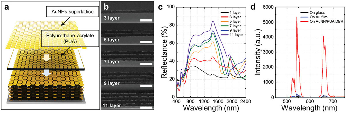 Distributed Bragg reflector (DBR) composed of 1D photonic crystal containing the planar AuNH superlattices