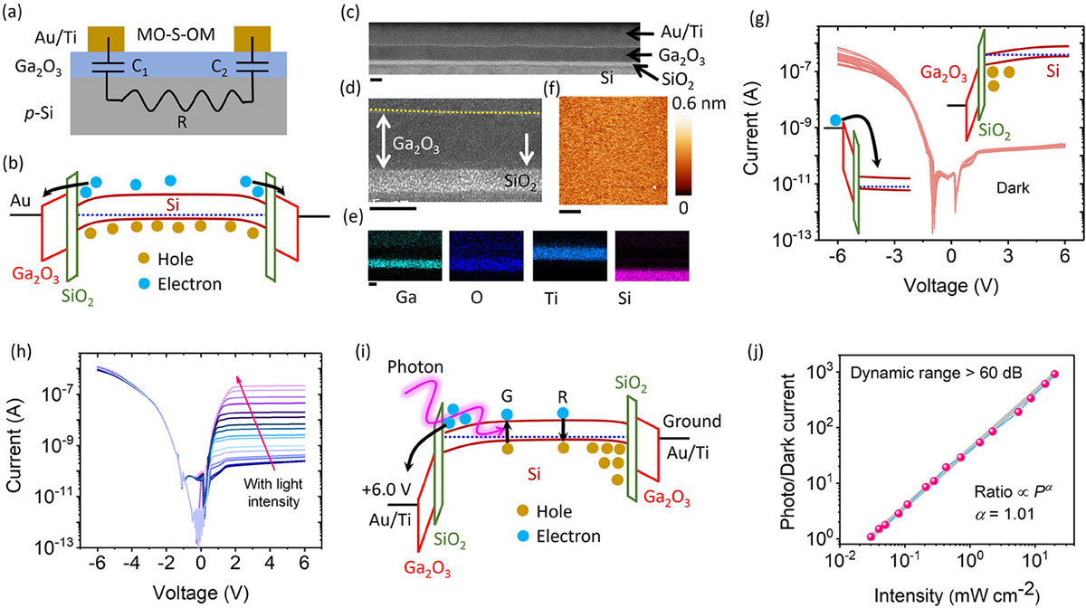 Device structure and photoresponse characteristics of a Ga2O3/Si-based photodetector