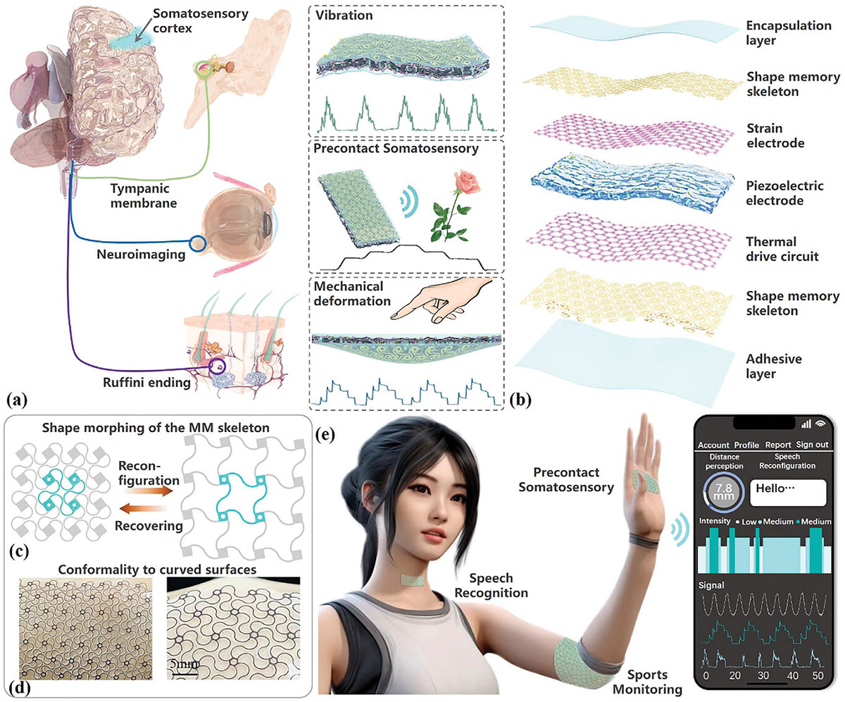 Schematic illustration of e-skin