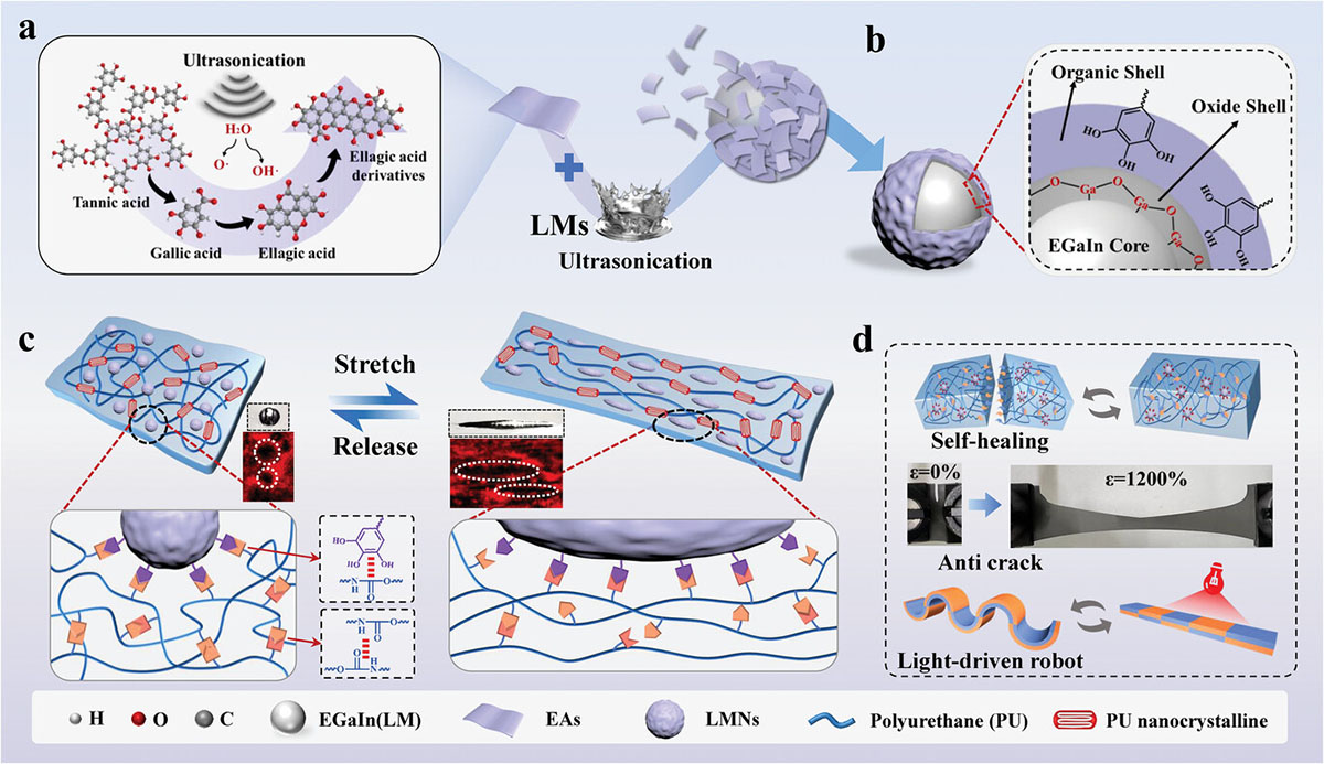 Materials design of the ultrarobust, notch-resistant, and self-healing actuators