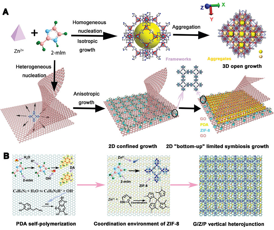 Confined symbiosis synthesis of G/Z/P membranes