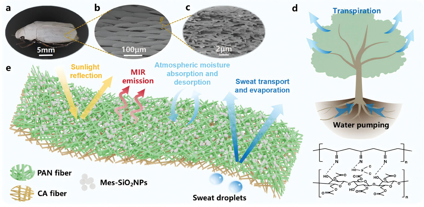 Design and fabrication of bioinspired metafabric