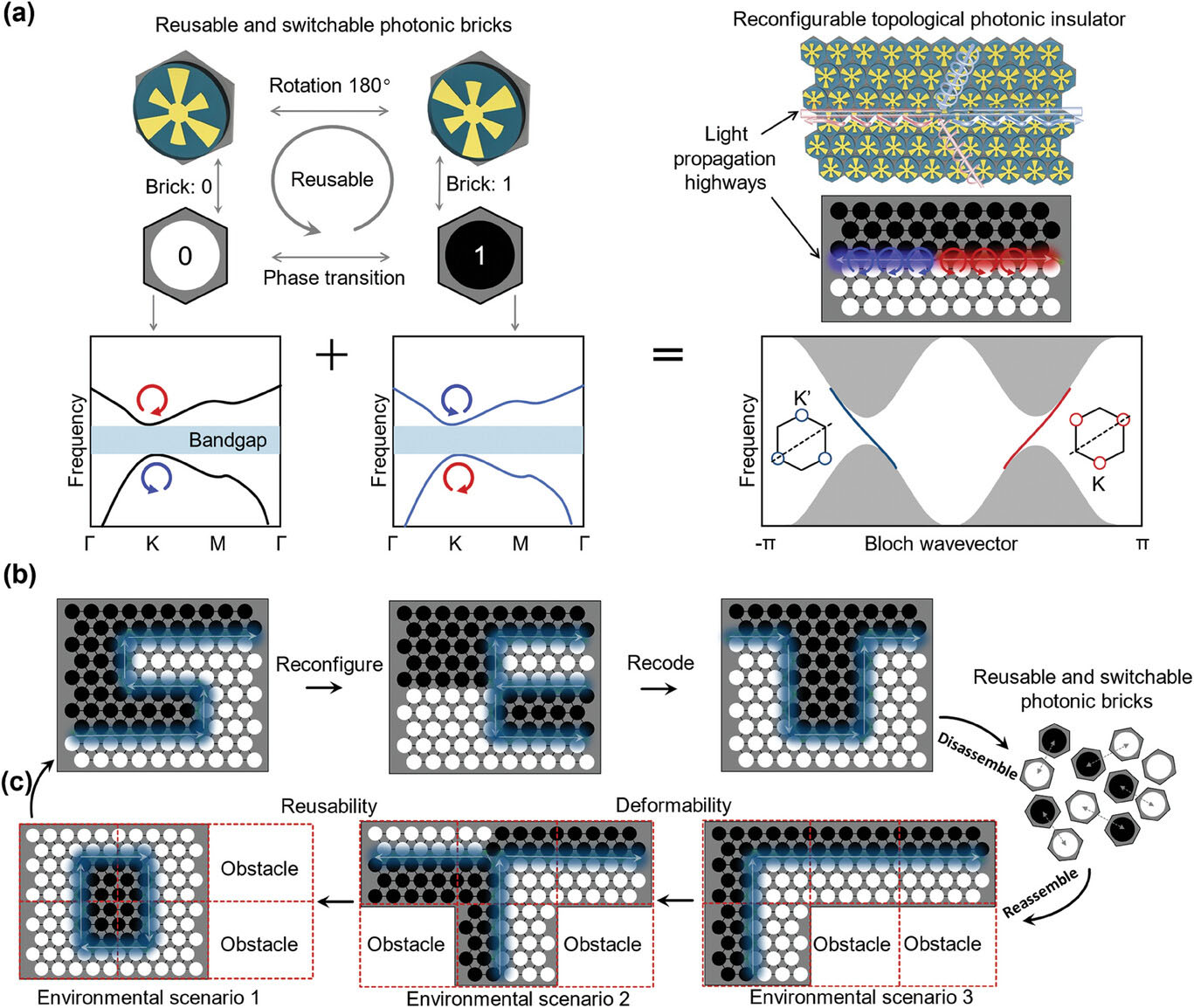 reprogrammable topological photonic insulator