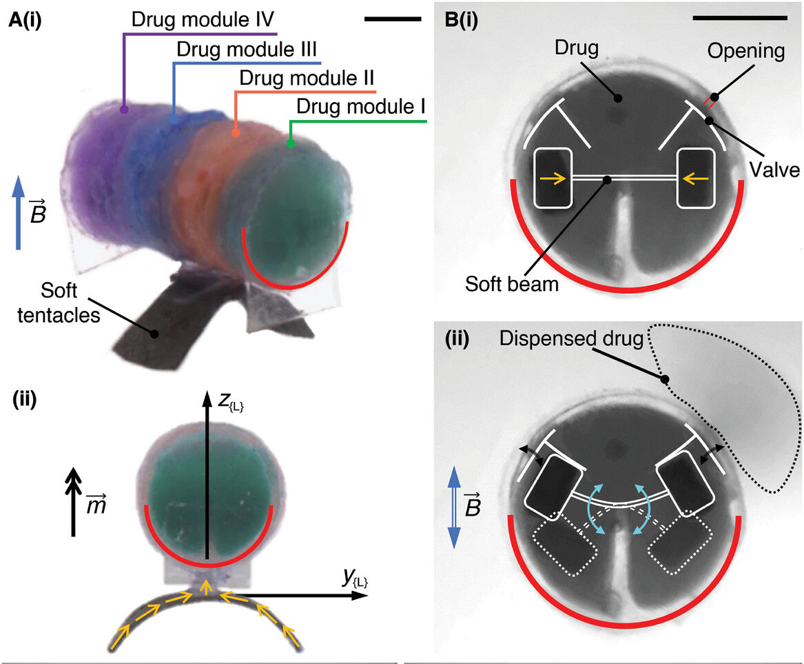 A miniature soft robot that can carry four distinct drugs, and reprogram its drug-dispensing sequence and dosage