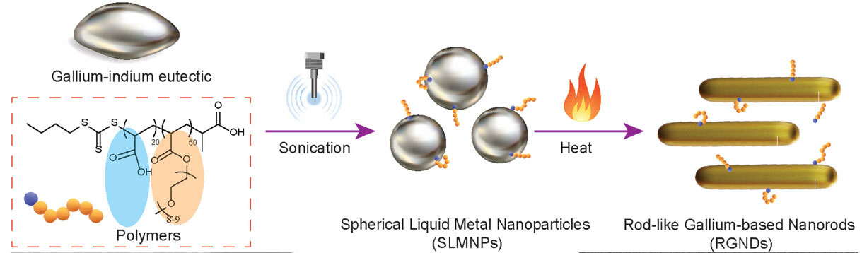 Schematic illustration of the preparation of spherical liquid metal nanoparticles and rod-like gallium-based nanorods